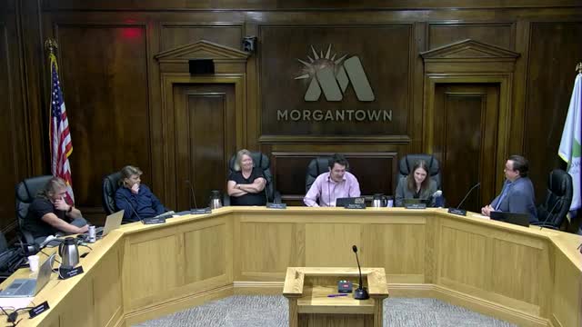 Council advances "Morgantown Mosaic" neighborhood matching grant program to formal agenda