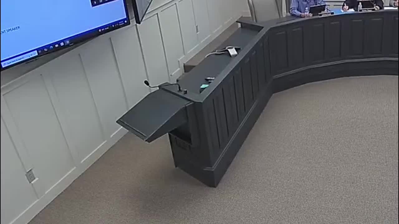 Colleton County Council discusses data center regulations and animal control ordinance amendments