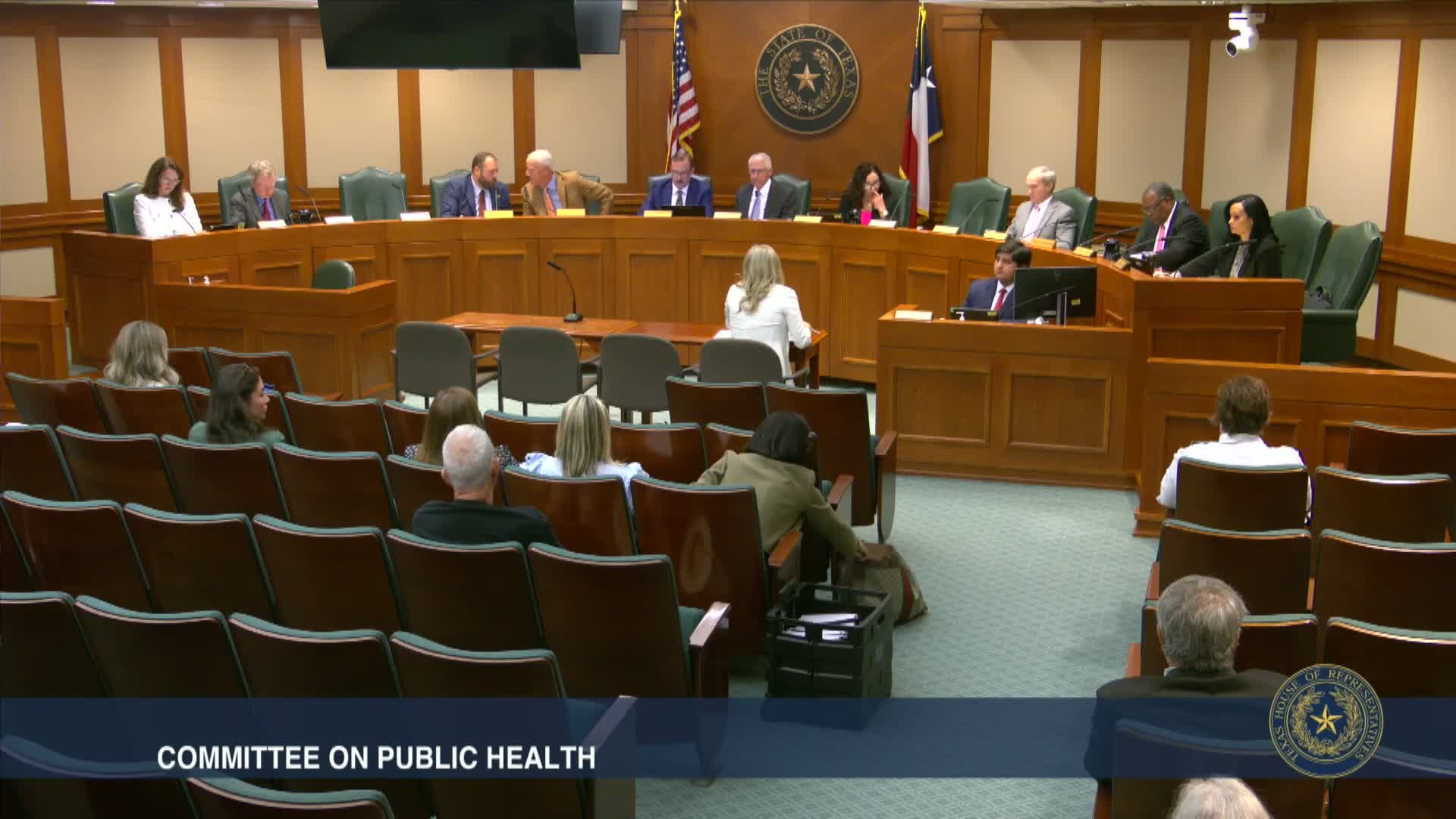 Texas committee hears testimony on youth-camp safety bill, leaves House Bill 265 pending
