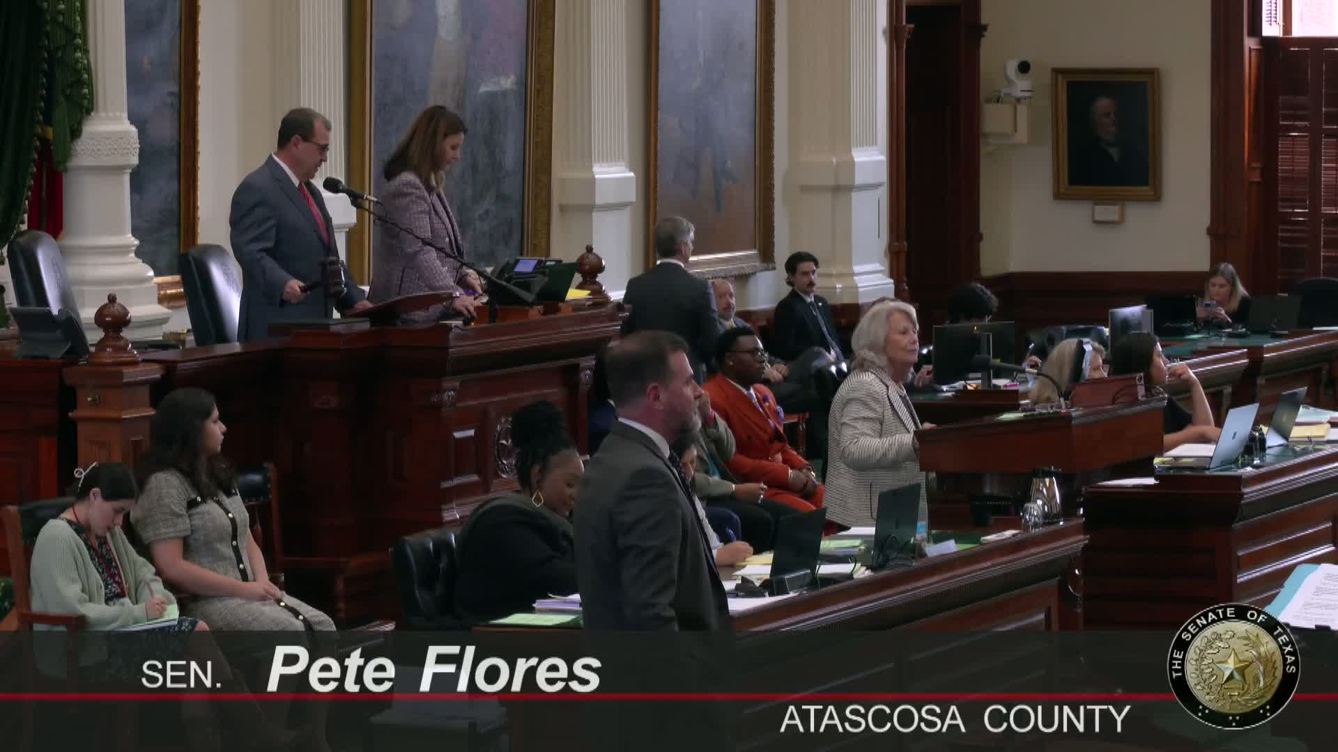 Texas Senate advances HB 4 after hours of questioning on race, legality and expert analyses