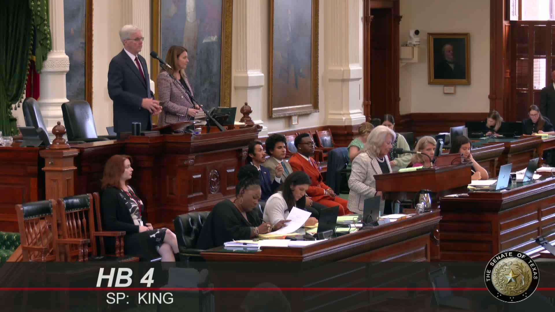 Texas Senate moves House Bill 4 to third reading amid heated debate over minority vote dilution