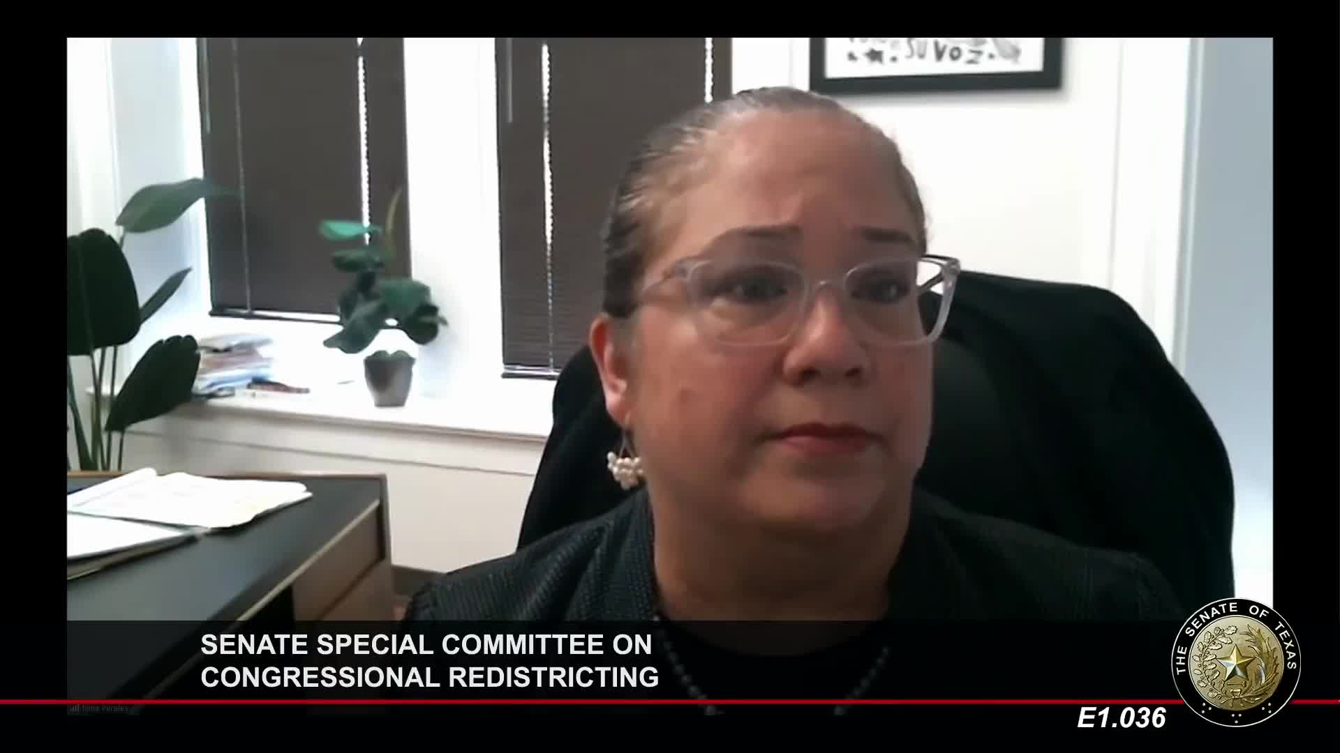 Senate committee hears legal arguments over DOJ letter as mid‑decade redistricting looms