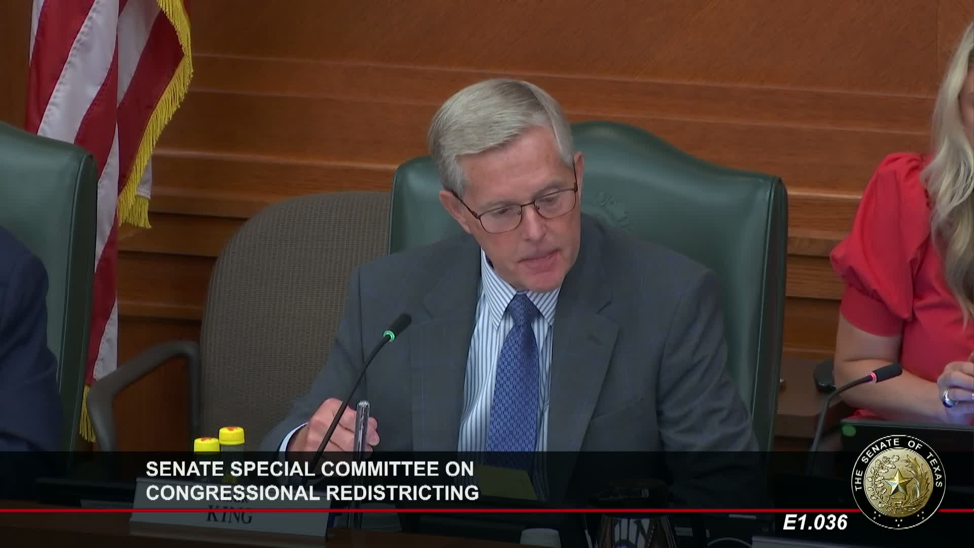 Legal experts and hundreds of Texans tell Senate panel: don’t redraw maps mid‑decade