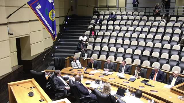 Resident raises concerns about project cost overruns and election irregularities; city staff respond