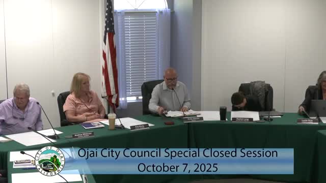 Ohio City Council Approves Vicky Quinlan's Ohio Day 2025 Poster Design
