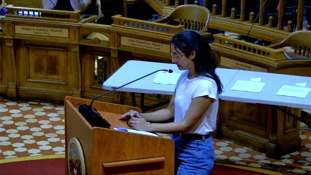 Shanna Kerlin urges amendments to strengthen Providence Community Safety Act enforcement