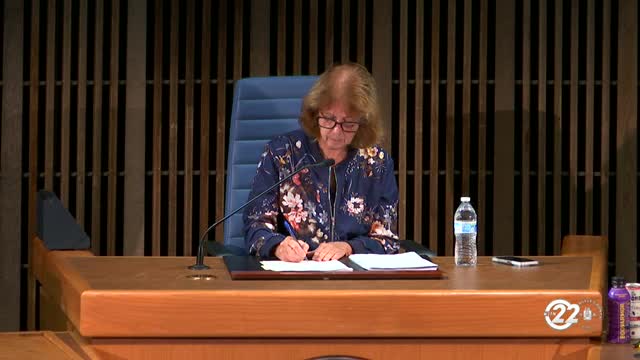 Newcastle County Council proposes 28-day review period for development plans