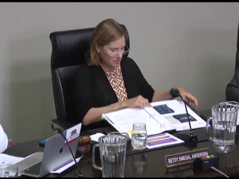 Council advances zoning changes to allow specified retail, service uses in Zone D; planning commission becomes final reviewer for CUPs