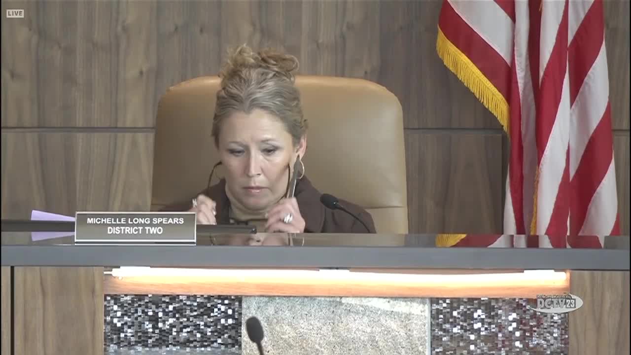 Brookhaven residents urge more funding for public safety, animal‑shelter outreach and sanitation during DeKalb public comment period