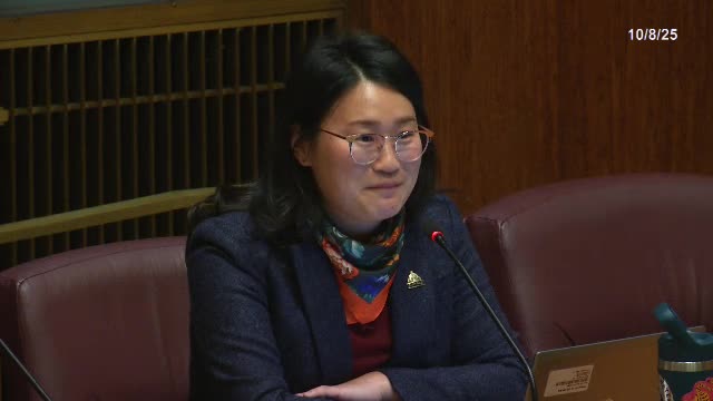 Saint Paul City Attorney outlines budget changes as ARPA-funded prosecutors phase out; highlights Ethos and neighborhood safety work