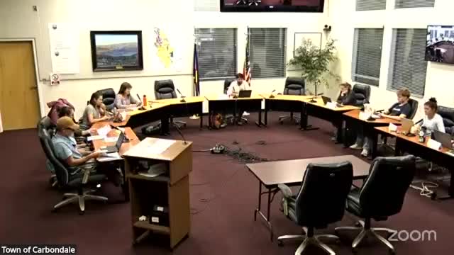 Carbondale parks commission outlines capital project priorities, pushes master plan funding to 2027