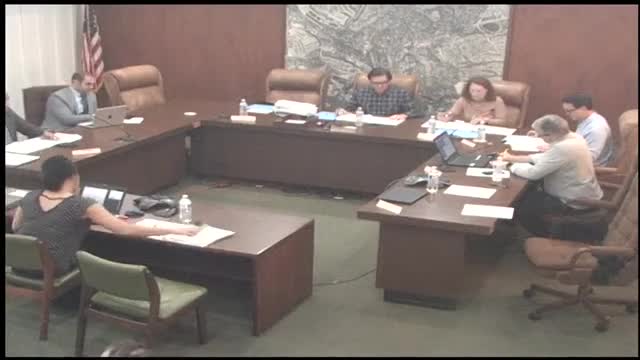 Commission gauges major grading, driveway and stable requests for Forest Spur Lane project; continues hearing