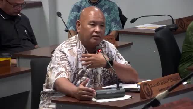 Teacher urges village flag redesigns to boost local identity; mayors agree to explore committee approach