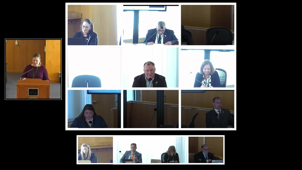 Land bank funding approved; redevelopment, brownfield cleanup and pilot homes discussed