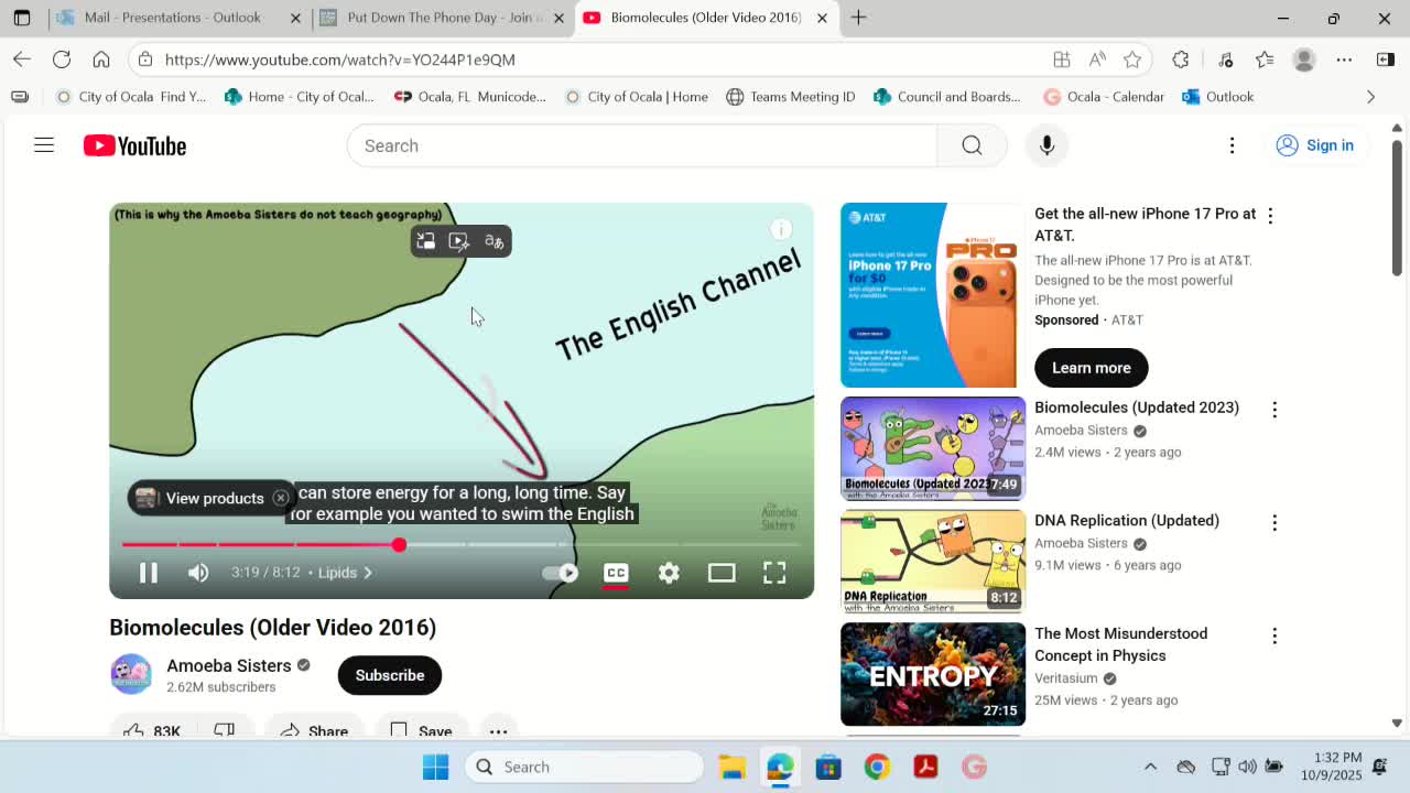Amoeba Sisters presenter summarizes four biomolecules and their roles