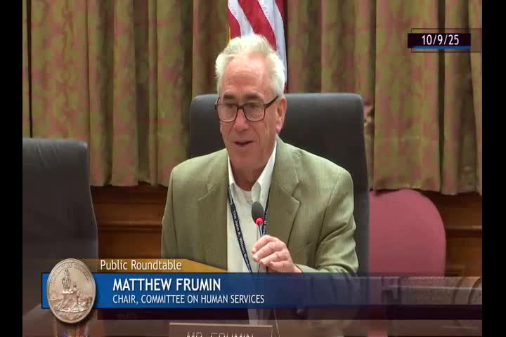Council committee holds roundtable on Rachel Pierre’s nomination to lead DHS