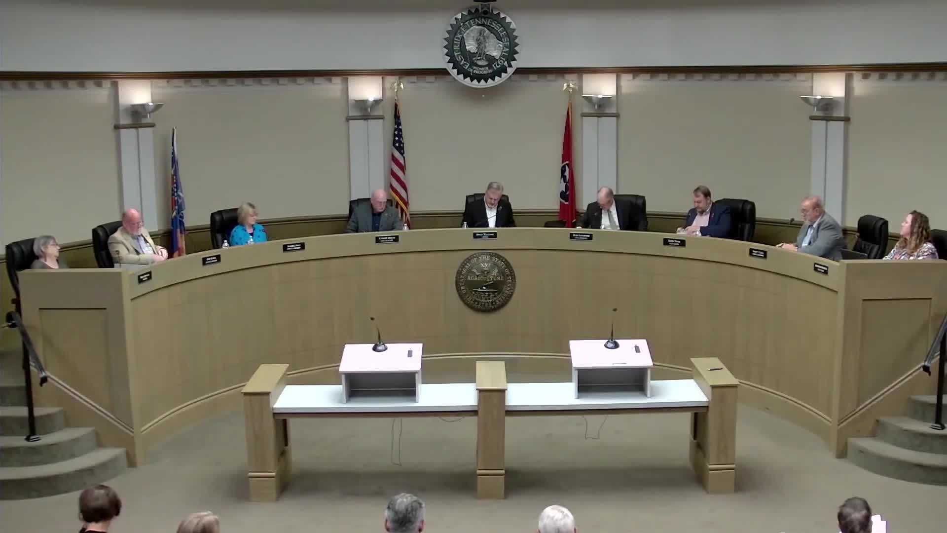 Council discusses possible charter change to clarify term limits; no decision reached