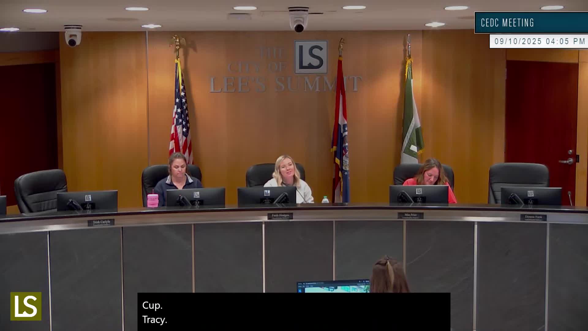 Committee backs temporary ban on block parties and new-parade permits during 2026 World Cup window