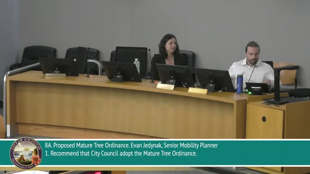 Encinitas commission delays recommendation on mature tree ordinance, schedules special meeting with UFAC