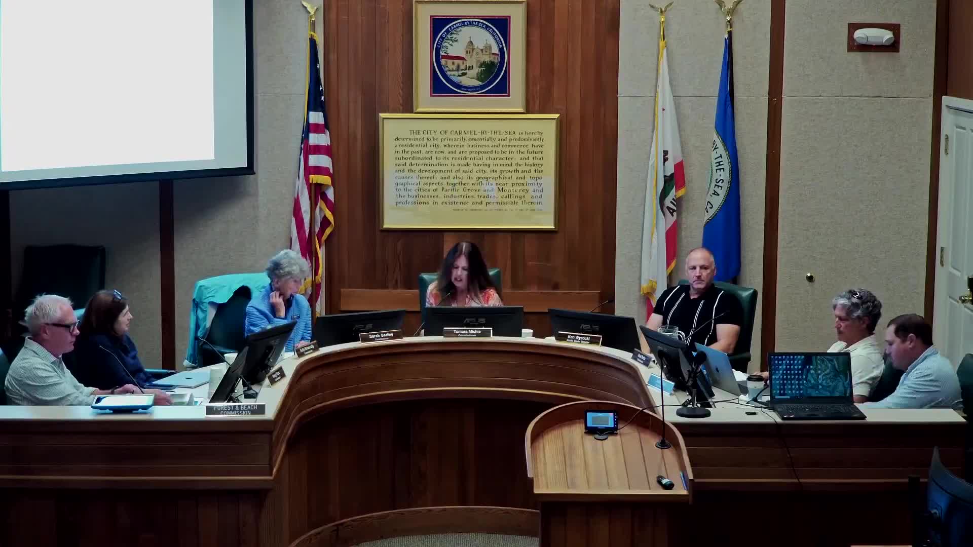 Commission forms ad hoc committee to update tree‑protection fines, seeks faster action