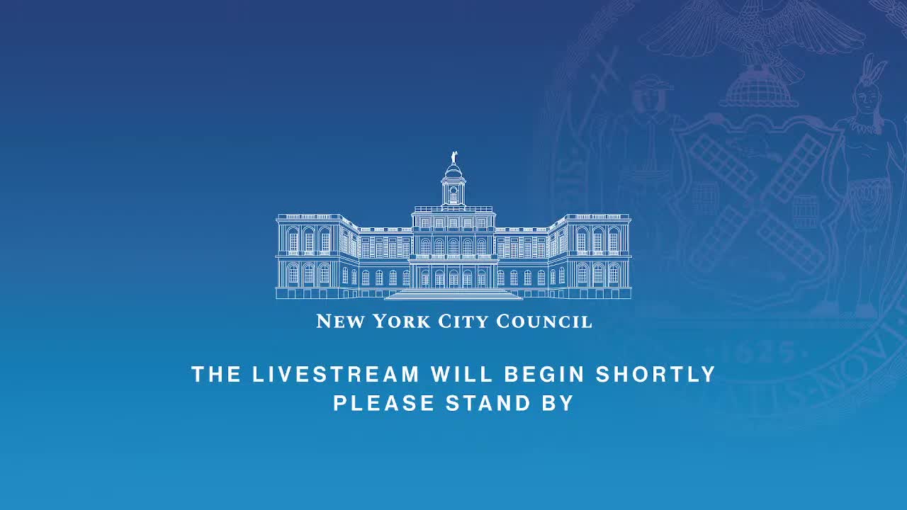 Council subcommittee approves Jamaica neighborhood rezoning with targeted modifications