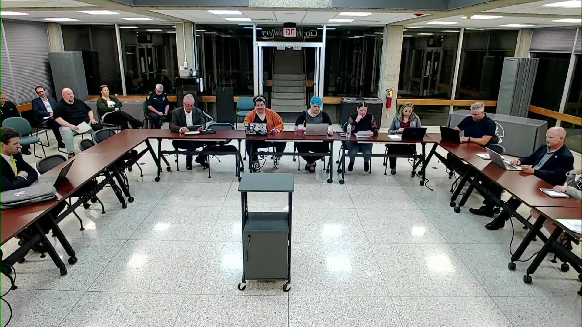 Council approves Class B tavern, public entertainment license for Vanquarious Lion; applicant told to update paperwork