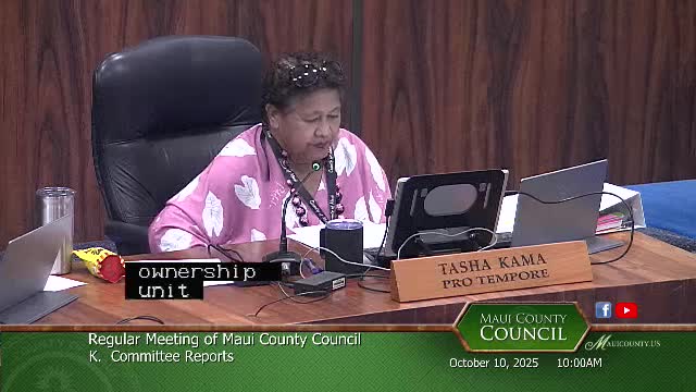 Council narrowly passes workforce-housing revisions after extended debate and reconsideration