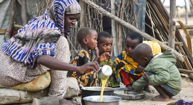 U.N. rights office raises alarm after reports of mass graves at Gaza hospitals