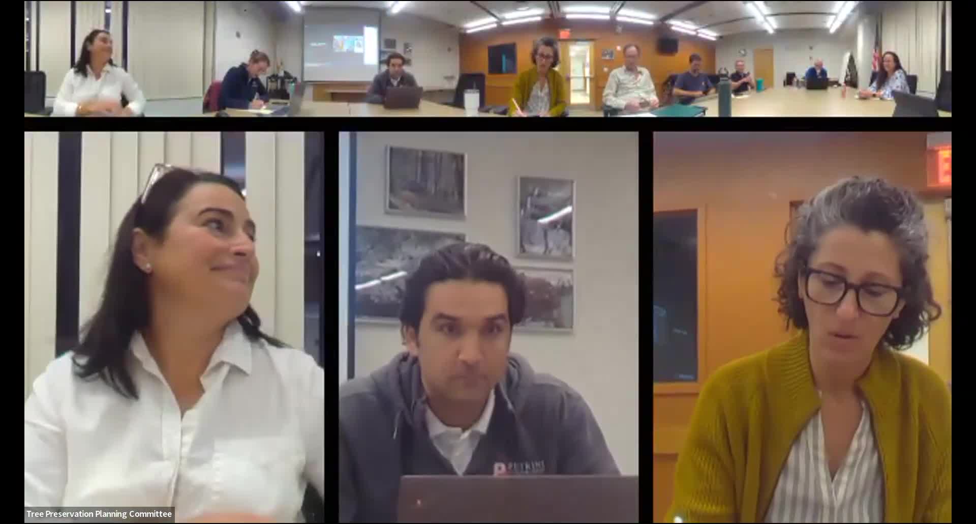 Needham committee refines tree-preservation bylaw draft; keeps invasive species subject to mitigation