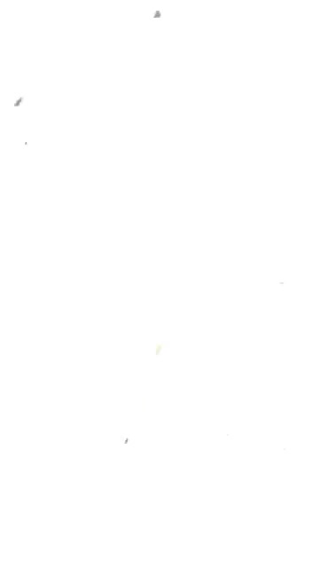 JR's Barbecue More highlights breakfast tacos, community ties in Keller