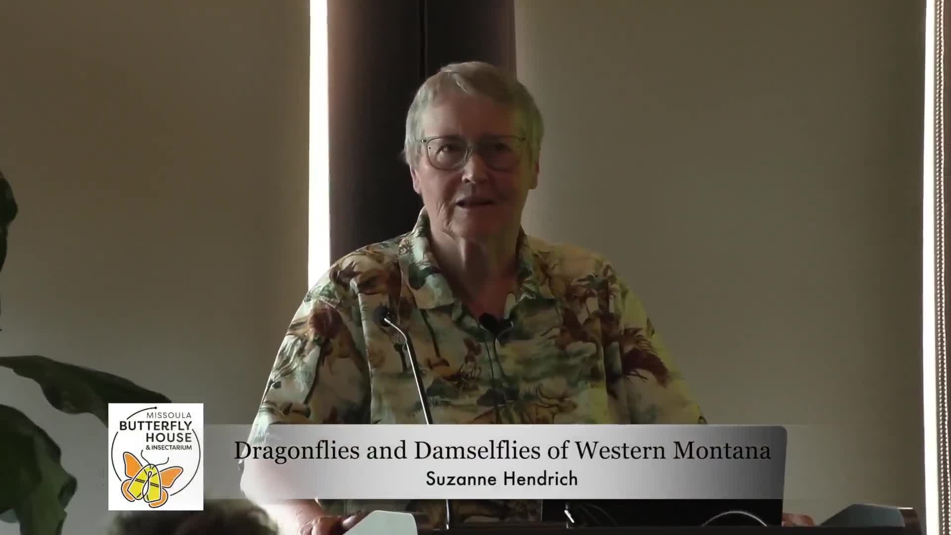 Local naturalist summarizes two years of Missoula dragonfly, damselfly surveys; drought shrinks ponds at Milltown