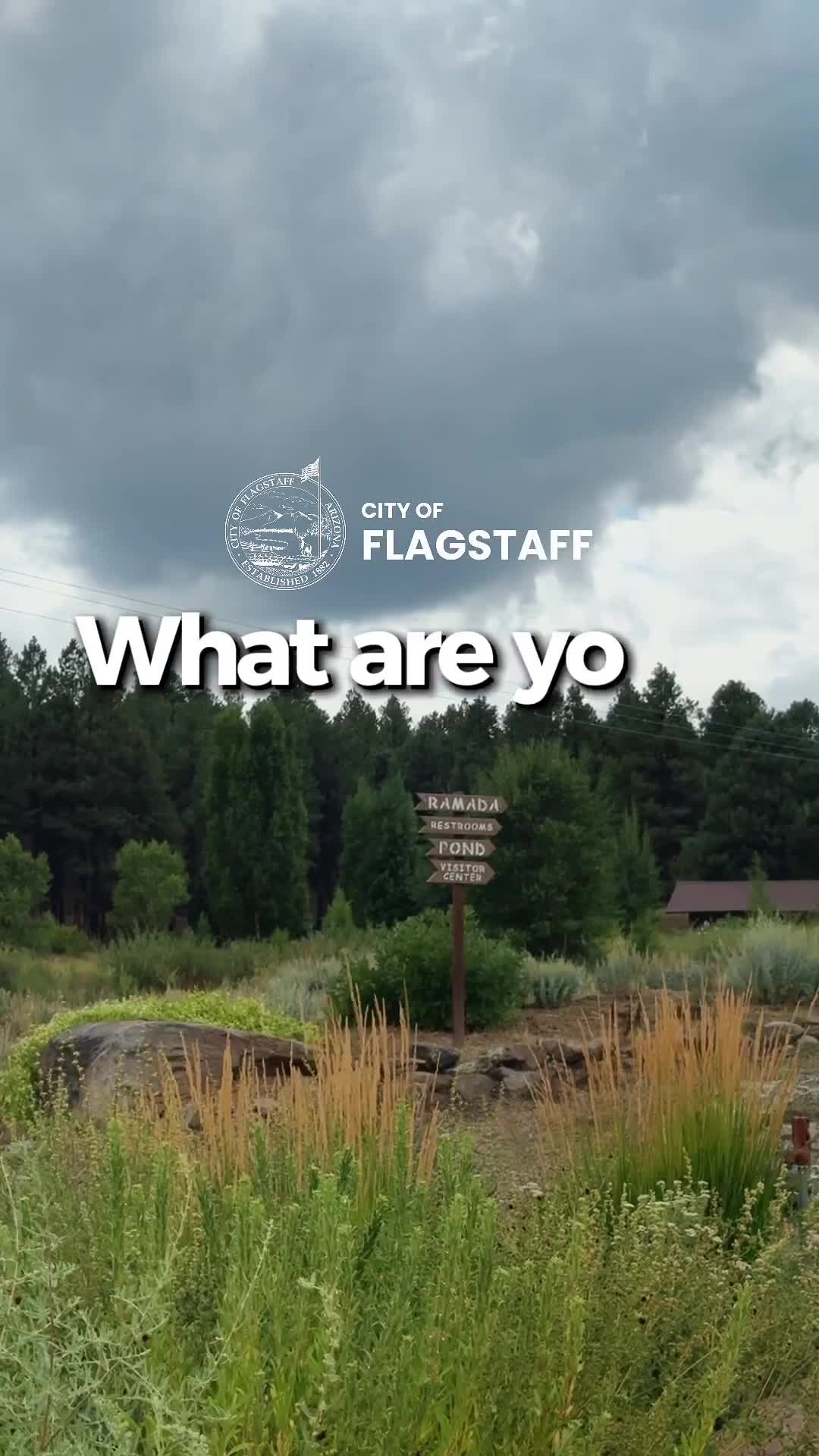 Public commenter urges Flagstaff residents to plant native species to support pollinators
