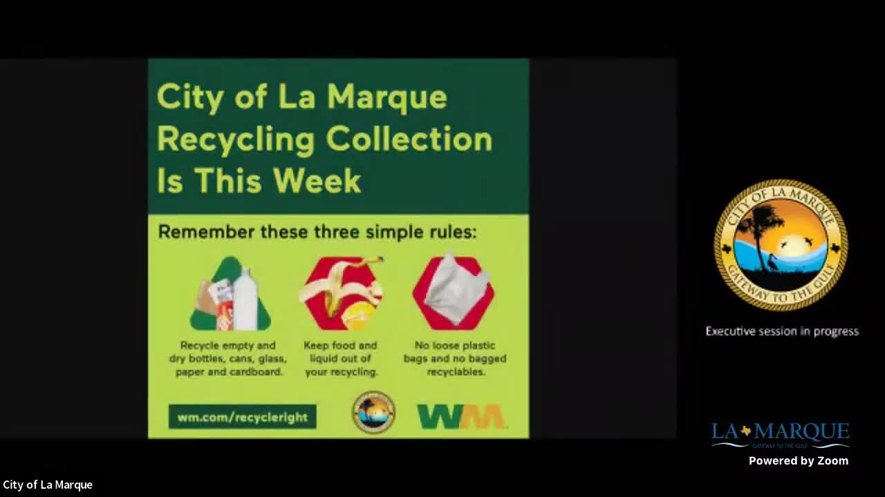 Council appoints Barbara Bailey Holly as interim city manager