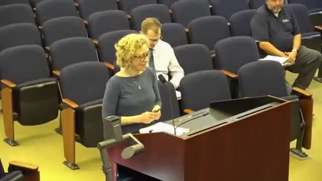 Council approves Parks at Crossroads rezoning, adds 15% rental cap to commitments