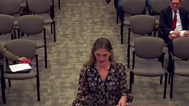 Council approves PDD amendment, parking ratio and use list for Collins Road commercial project; development agreement expiration extended