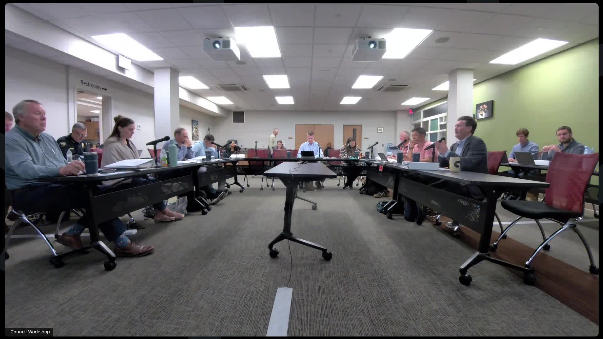 Council debate over strategic plan: some members question housing pillar wording and emphasis