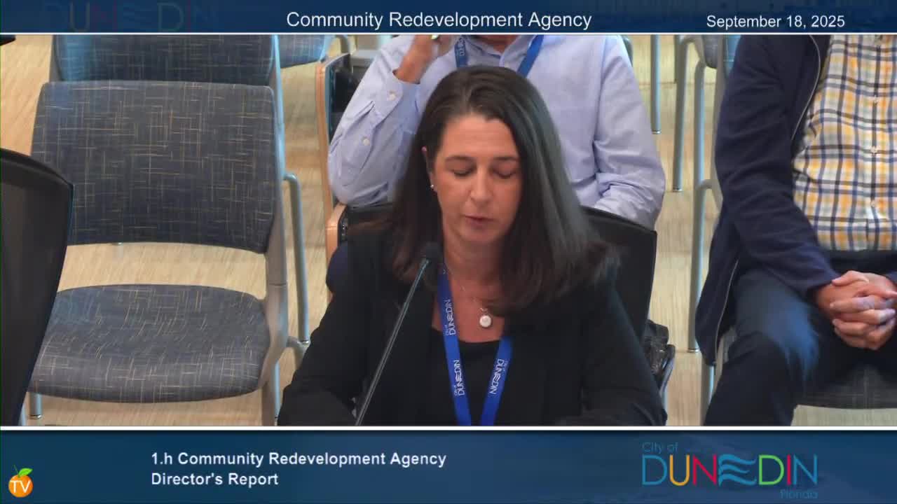 Former City Hall Park, Skinner Boulevard work, and advisory committee recommendations highlighted at CRA meeting