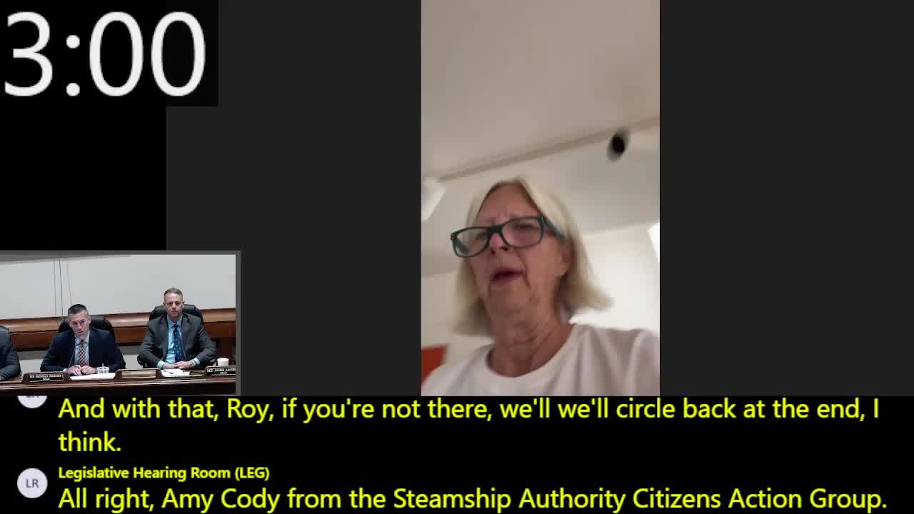 Island residents press committee for Steamship Authority board term limits and oversight reforms
