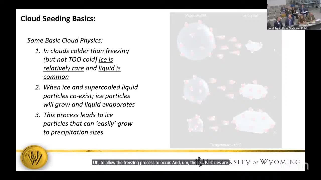 Wyoming experts brief committee on cloud seeding operations, science and funding as state airborne program ends