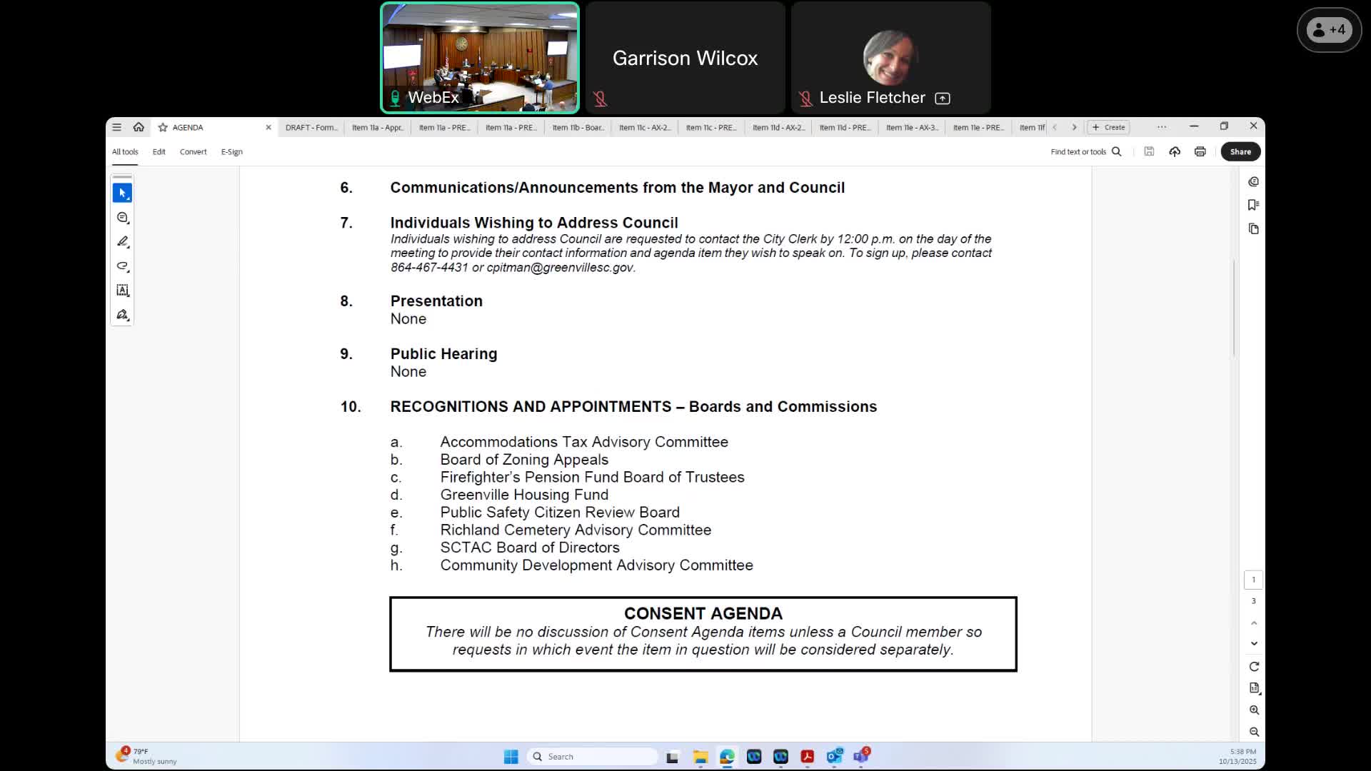 Resident criticizes BZA process; council reappoints and appoints members to Board of Zoning Appeals