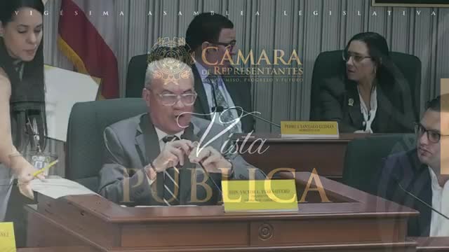 House Government Commission hears nomination of Carmen A. Vega Furnier amid anonymous complaint; members ask for preliminary probe