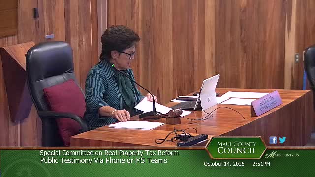 Committee weighs midyear relief for homeowners, STR conversions; asks staff for consolidated approach