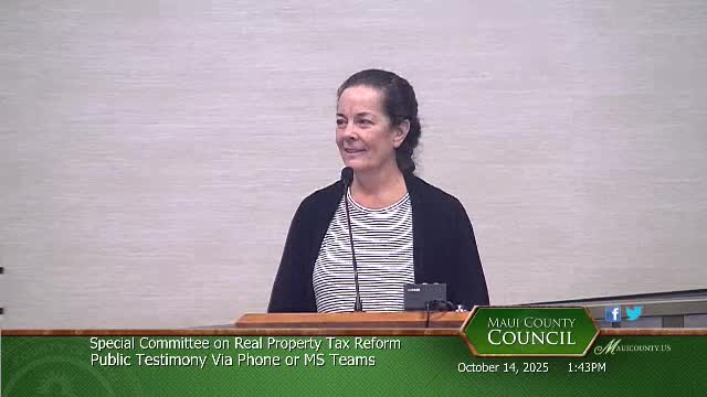 Committee debates new vacant‑residential tax class; discussion deferred for more work