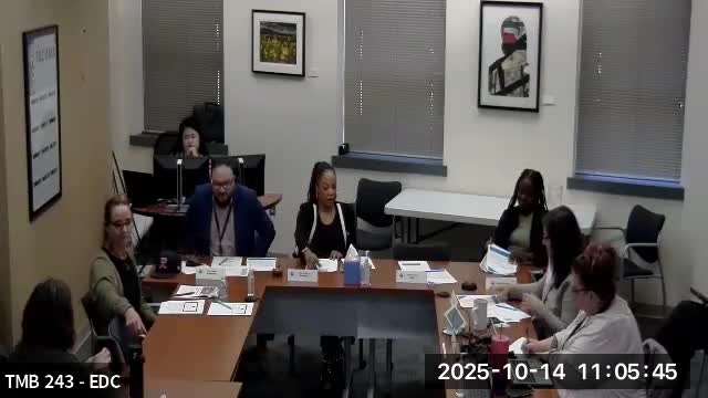 Committee hears proposal to refresh Neighborhood Business District program, weigh nonprofit partner and funding gaps