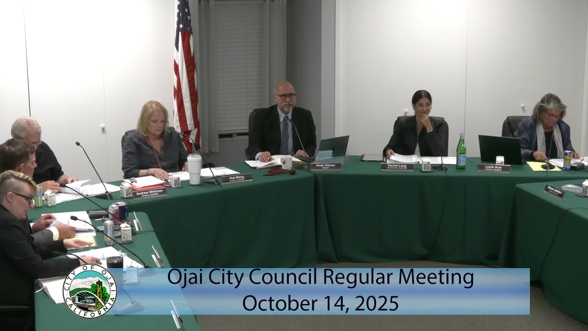 Council approves business‑license and cannabis e‑platform to automate manual processes