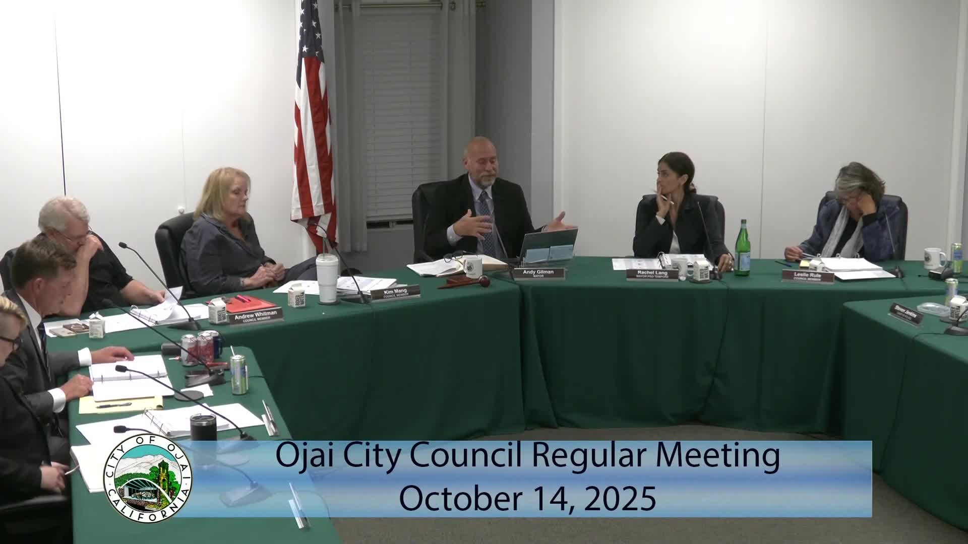 Council reviews new logo options; asks for refined color and font choices before final selection
