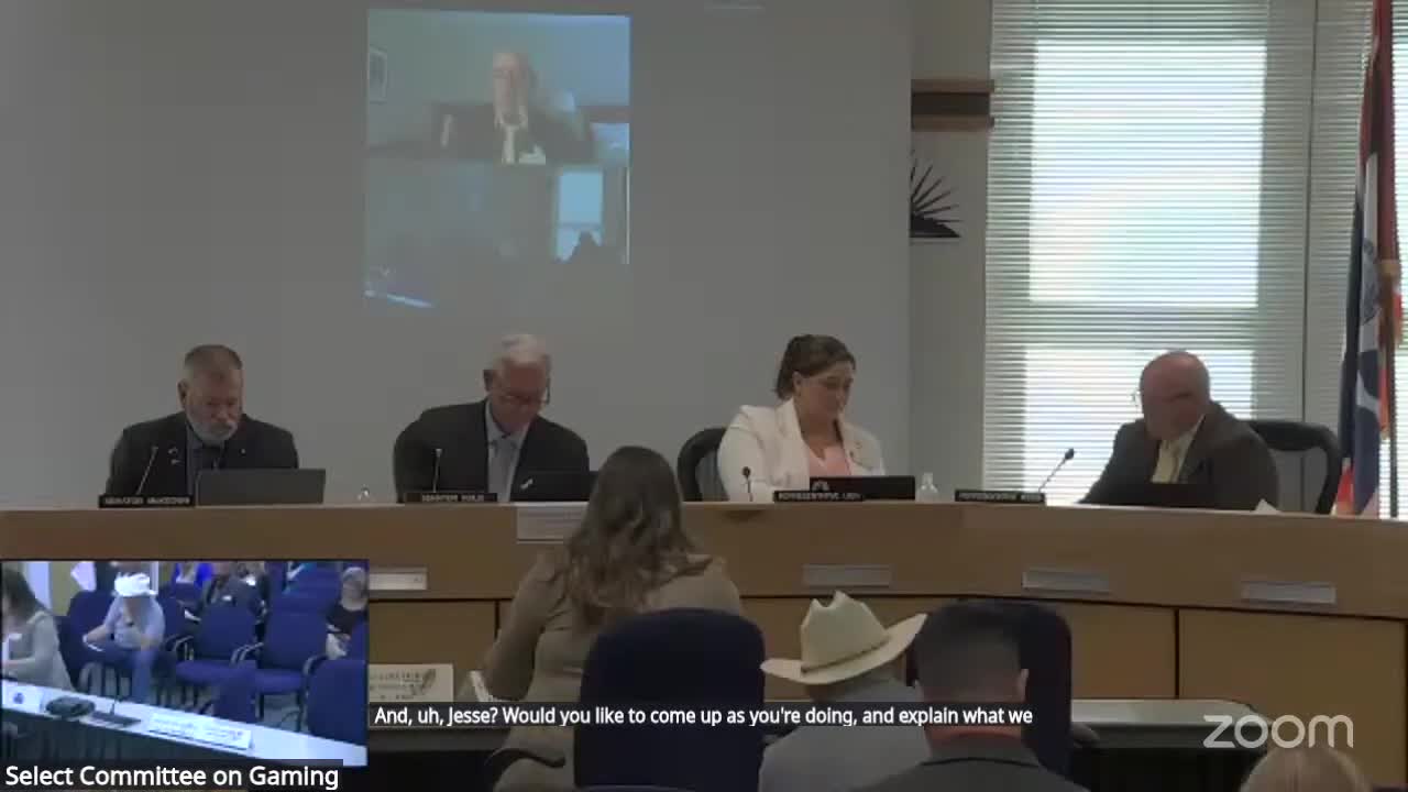 Task force asks LSO to refine proposed money‑laundering and illegal‑investment statutes; prosecutors and law enforcement to be consulted