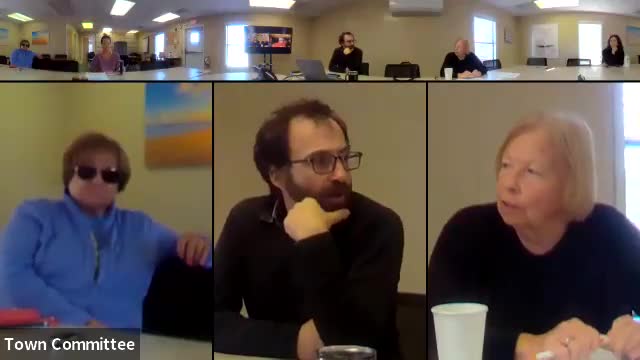 Human services report: flu shots, grants and a town needs assessment form part of council discussion