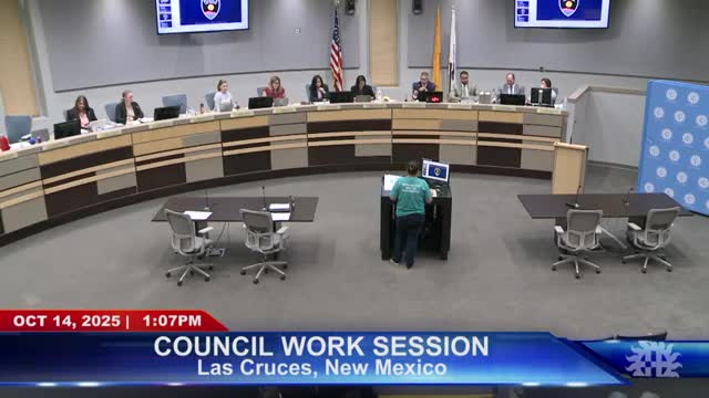Las Cruces leaders weigh homelessness response, urged to prioritize prevention and housing