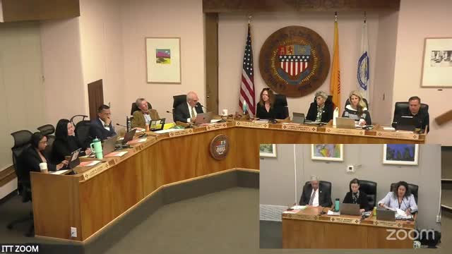 Council orders charter review on mayor–council powers; amendment to add ranked‑choice voting fails